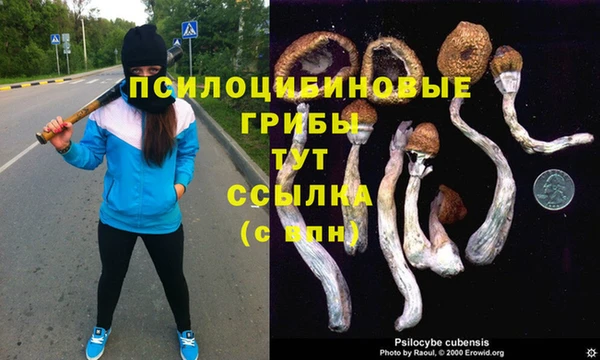скорость Абаза
