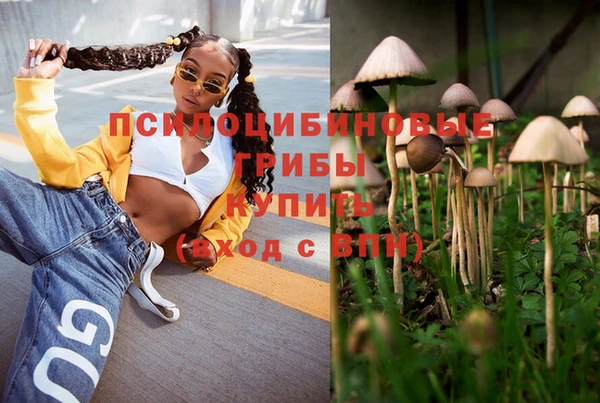 скорость Абаза