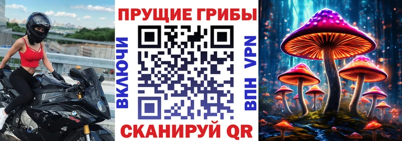 Псилоцибиновые грибы Magic Shrooms  Кирсанов 