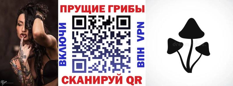 Псилоцибиновые грибы прущие грибы Кирсанов